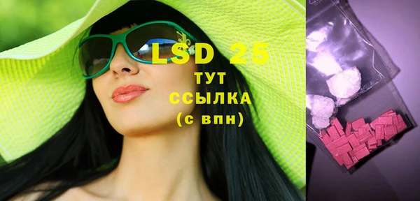 spice Беломорск