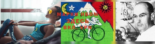 spice Беломорск