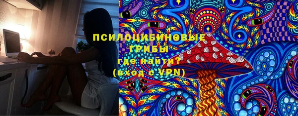 spice Беломорск